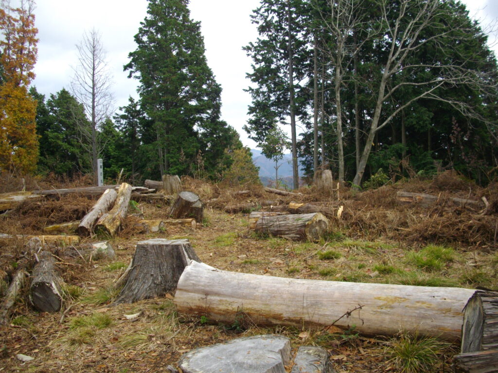 10:20 山頂の様子です。かなり広い平面になってます。明るくていいのですが、周りを木が囲んでいるので、あまり景色は良くありません。