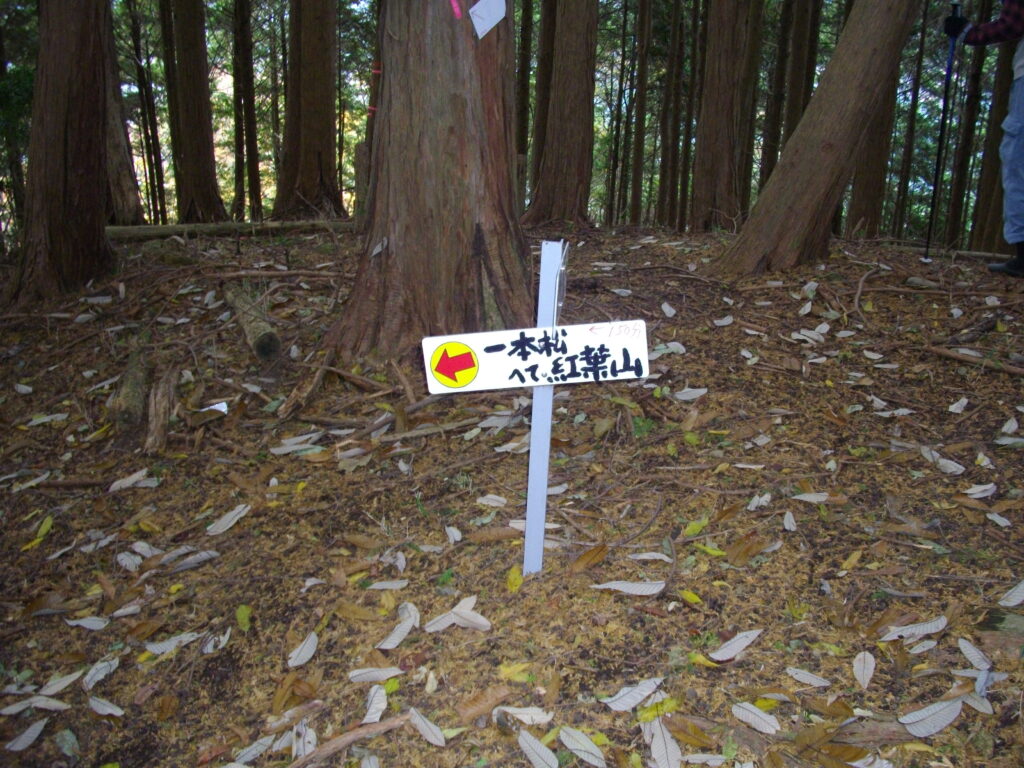 10:24 山頂手前にあった分岐点です。ここから分かれて、一本松を目指します。