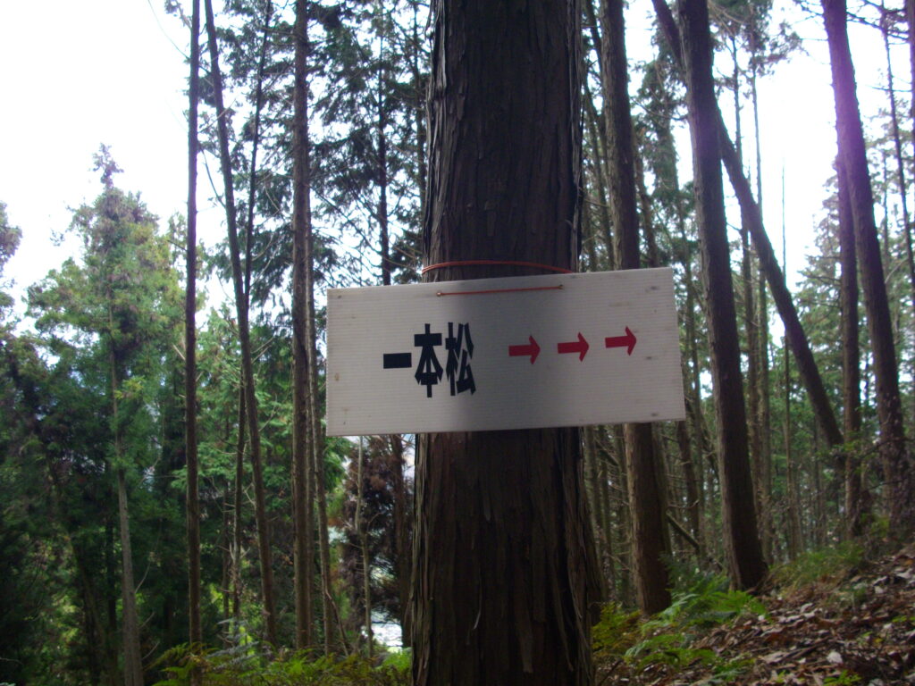 10:29 一本松への案内板です。これからたくさん出てきます。