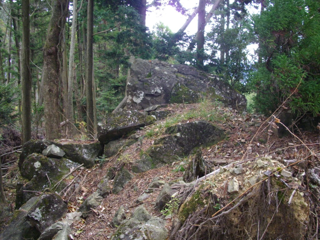 10:34 途中にあった岩のピークです。
