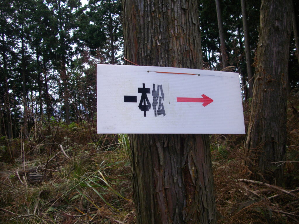 10:39 一本松への案内板です。