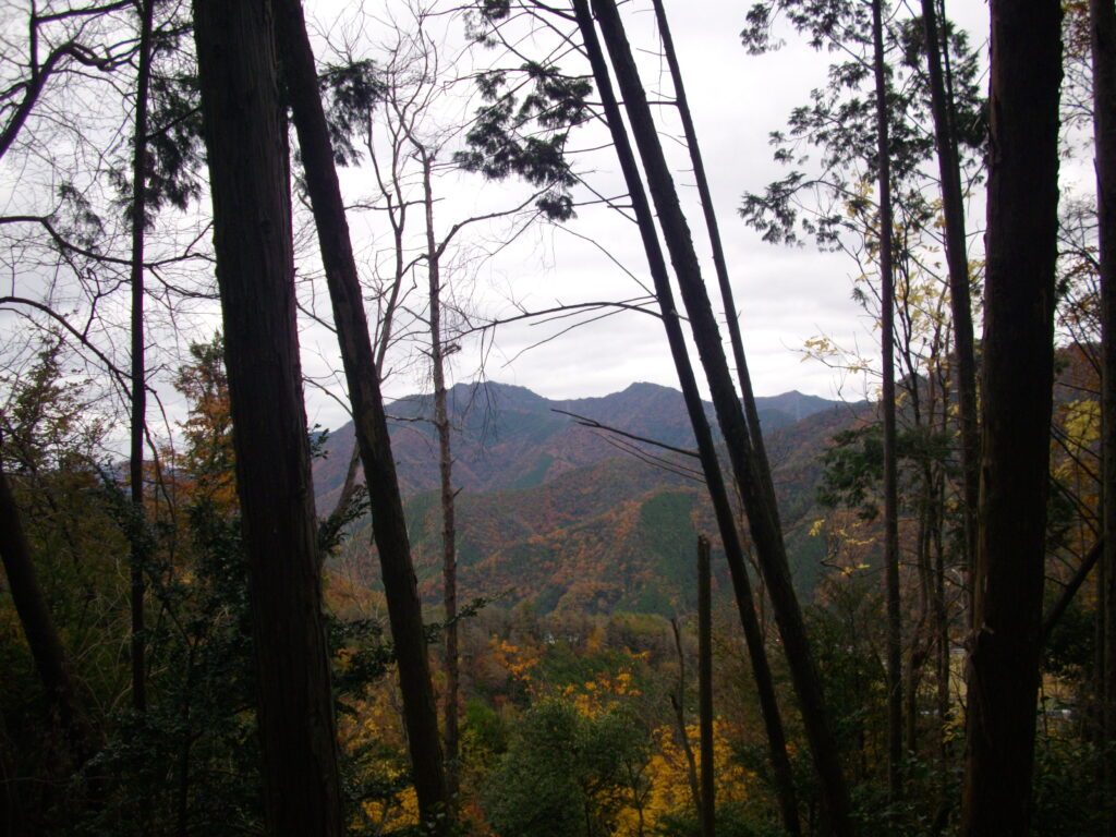 10:54 途中から見える景色です。