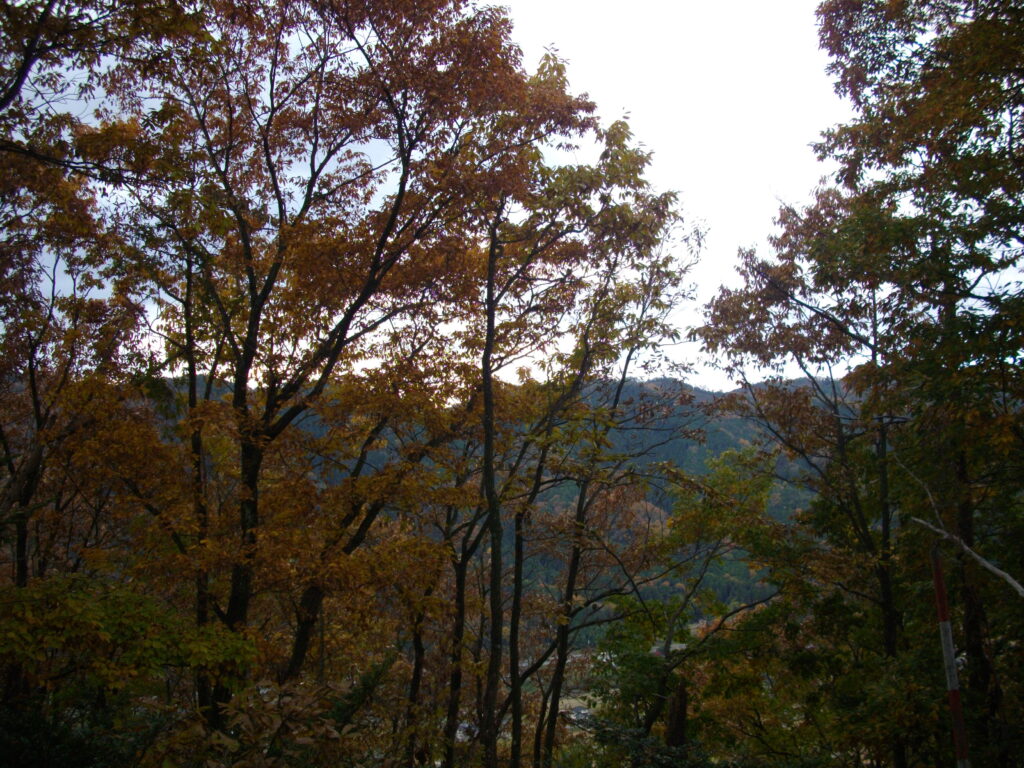 10:56 案内板からすぐに見える南側の景色です。こちら側は木々の隙間からしか見えません。南側の斜面の方がよく紅葉しているようです。