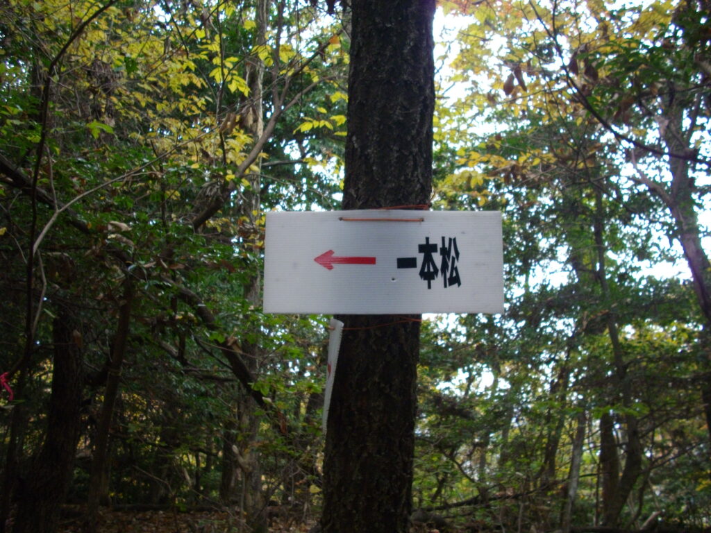 11:07 またまた一本松への案内板です。いつになったら着くんでしょうか。