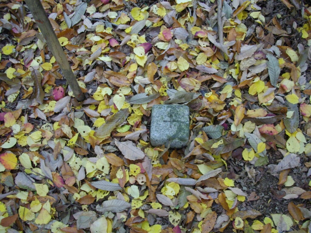 11:08 355.9mの三角点です。