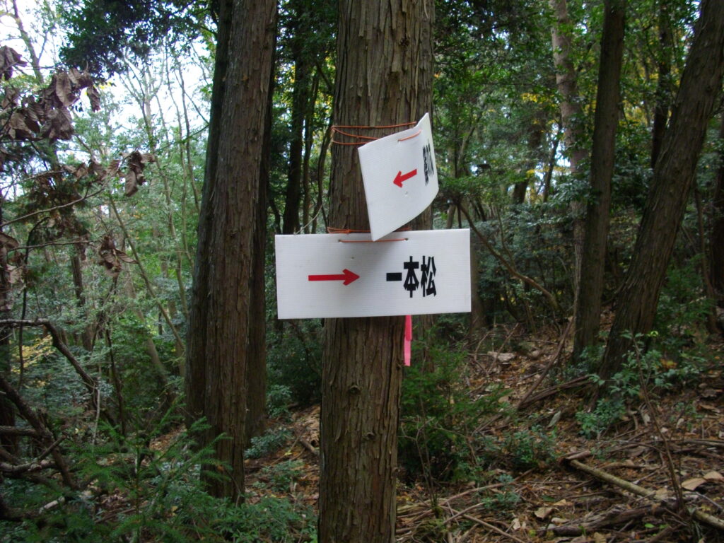 11:13 またまたまた案内板です。