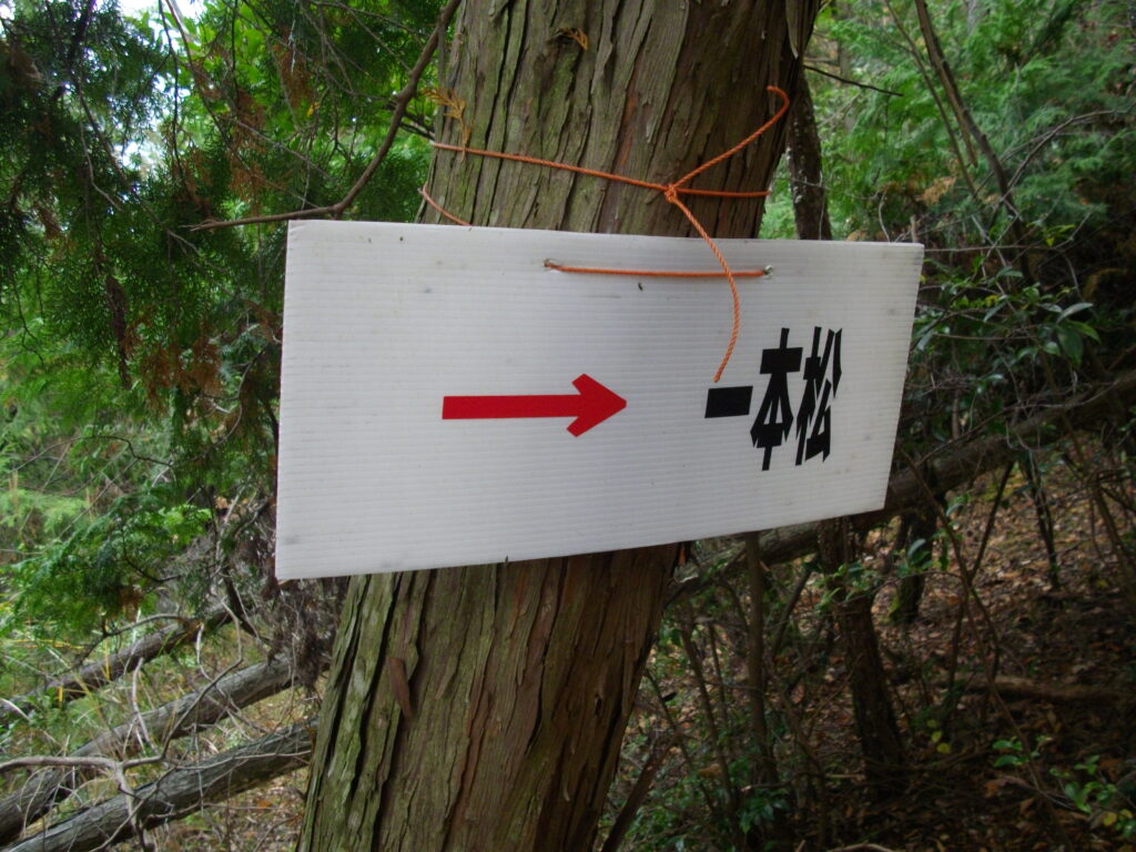 11:25さらに案内板です。