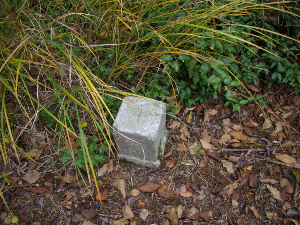 11:32 次のピークのようです。表示はありません。