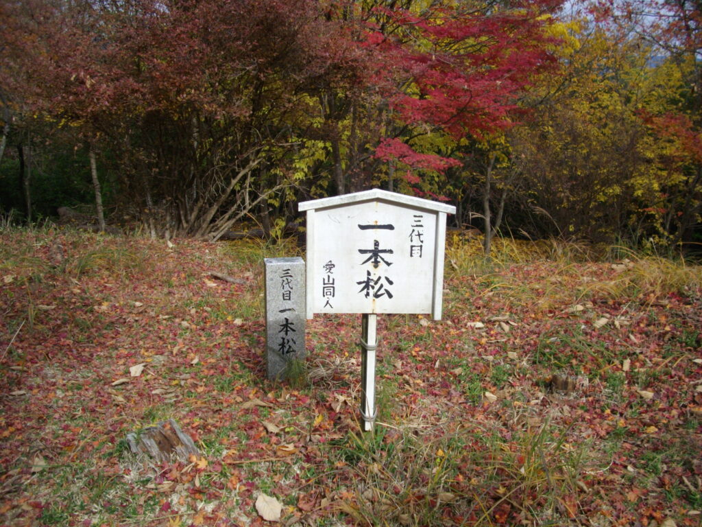 11:52 一本松の立て札です。