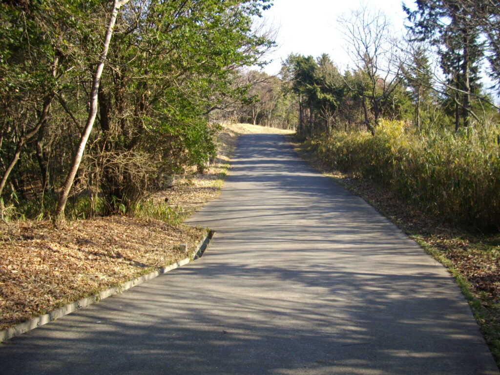 9:56 東側の登山道です。すべて舗装(コンクリート)されています。