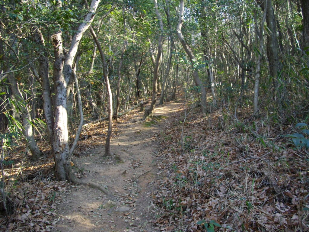 10:16 途中の様子です。ほぼ全部こんな感じです。