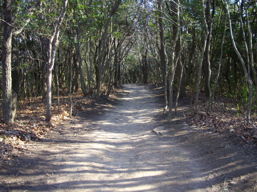 10:26 東側の登山道の様子です。こちらから登る人が多いせいか、道幅は広いです。