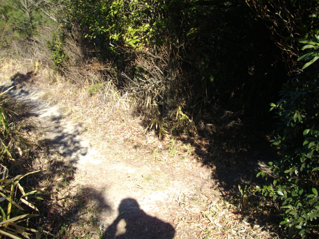 11：30　185mピークへの分岐です。