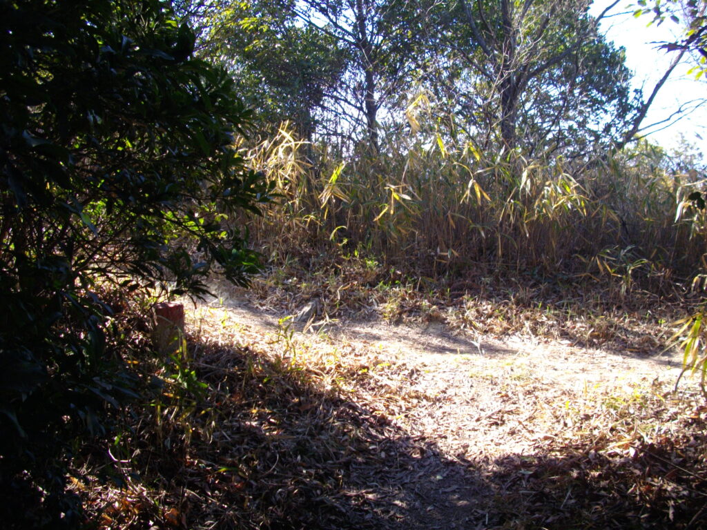 11：37　再び先ほどの分岐に戻ります。