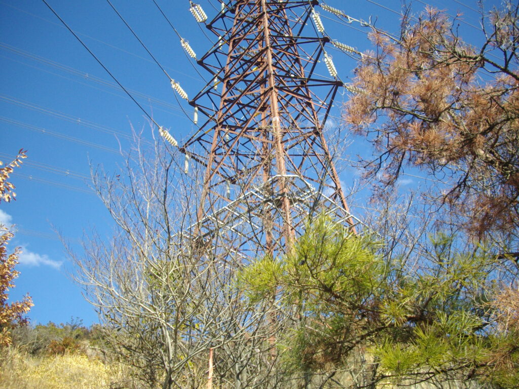 12：30　鉄塔を通過します。
