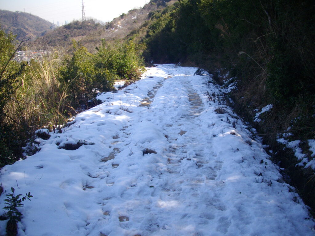11：29　北側を下るので、登山道は雪だらけです。