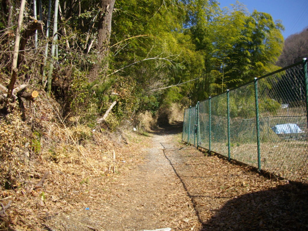 12：00　さらに進むと、舗装路が終わり、竹藪が現れます。