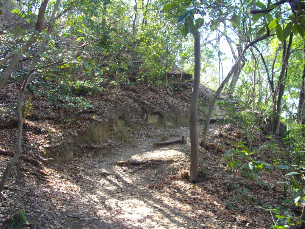 12：03　ようやく、登山道らしい道になりました。
