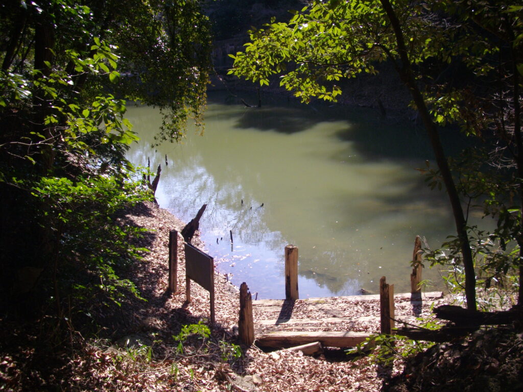 11：04　池がありました。