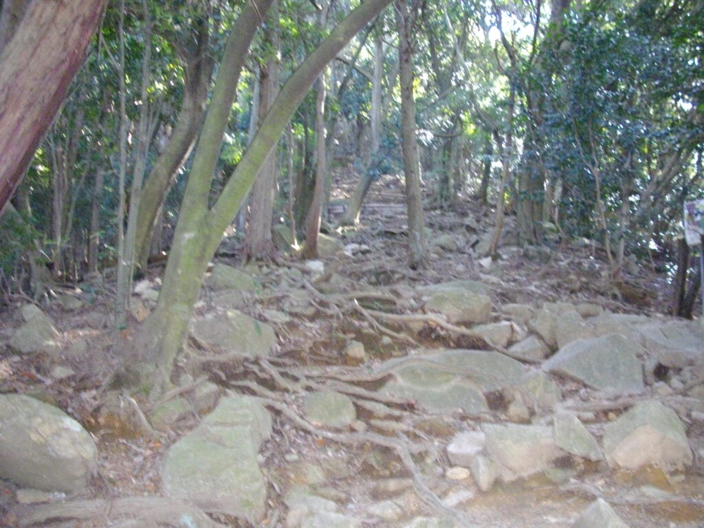 11：06　鍋蓋山への登山道です。ようやく山らしくなってきました。
