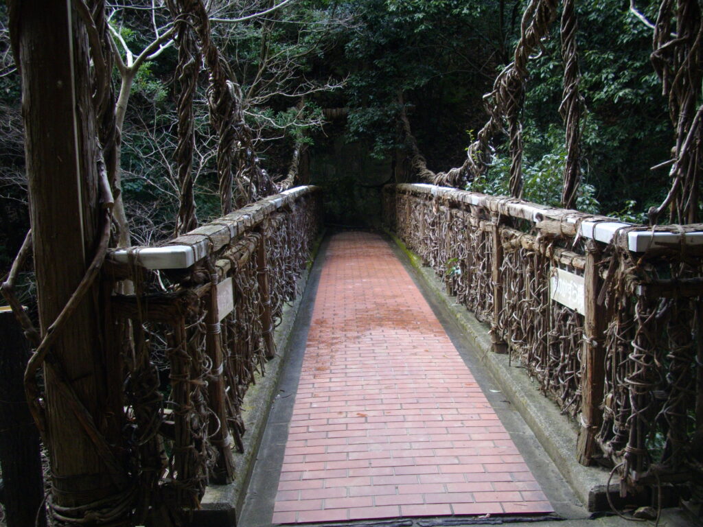 9:52　途中にある猿のかずら橋です。