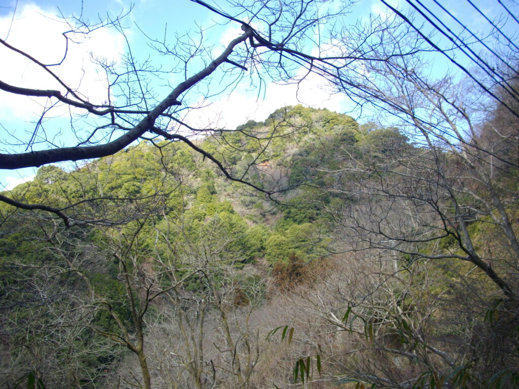 10：11　高雄山が見えます。機会があれば上ってみるつもりです。
