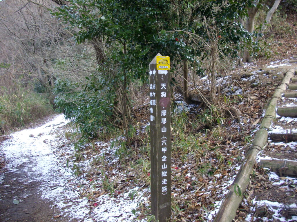 10：22　天狗道への分岐です。