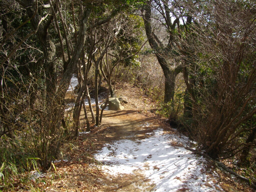 10：49　尾根道に変わりました。