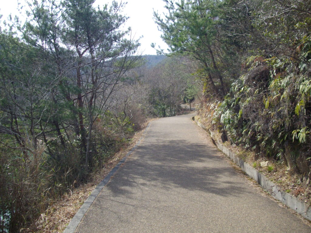 10：02　遊歩道の様子です。
