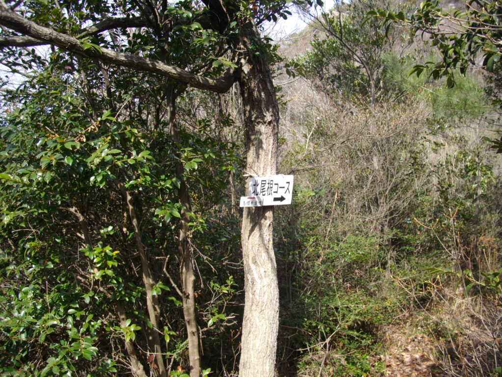 11：13　北側から広い道を下っていくと途中に、北尾根コースへの分岐があります。