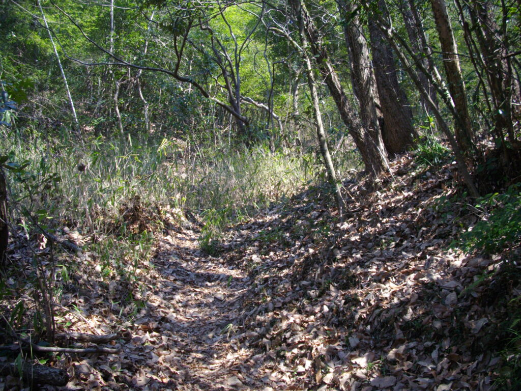11：11　丹生山への登山道、義経道を行きます。