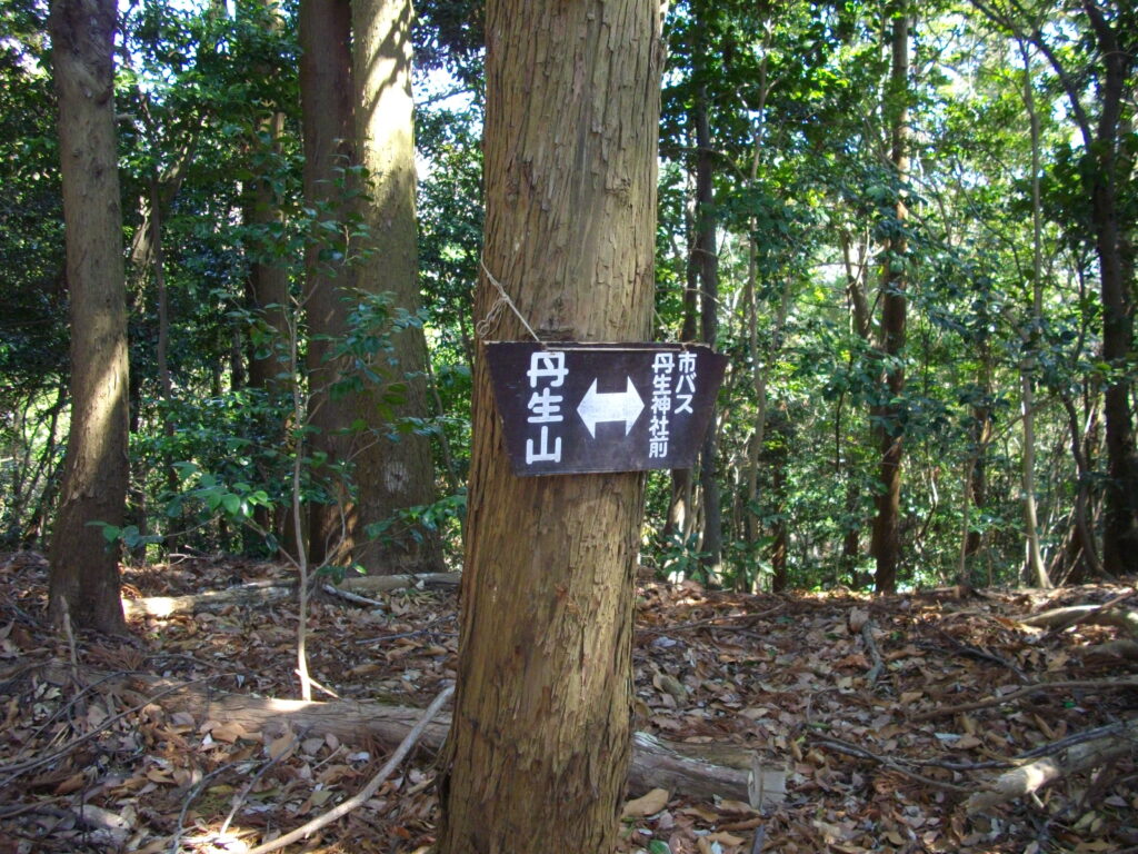 11：38　尾根道との合流点です。