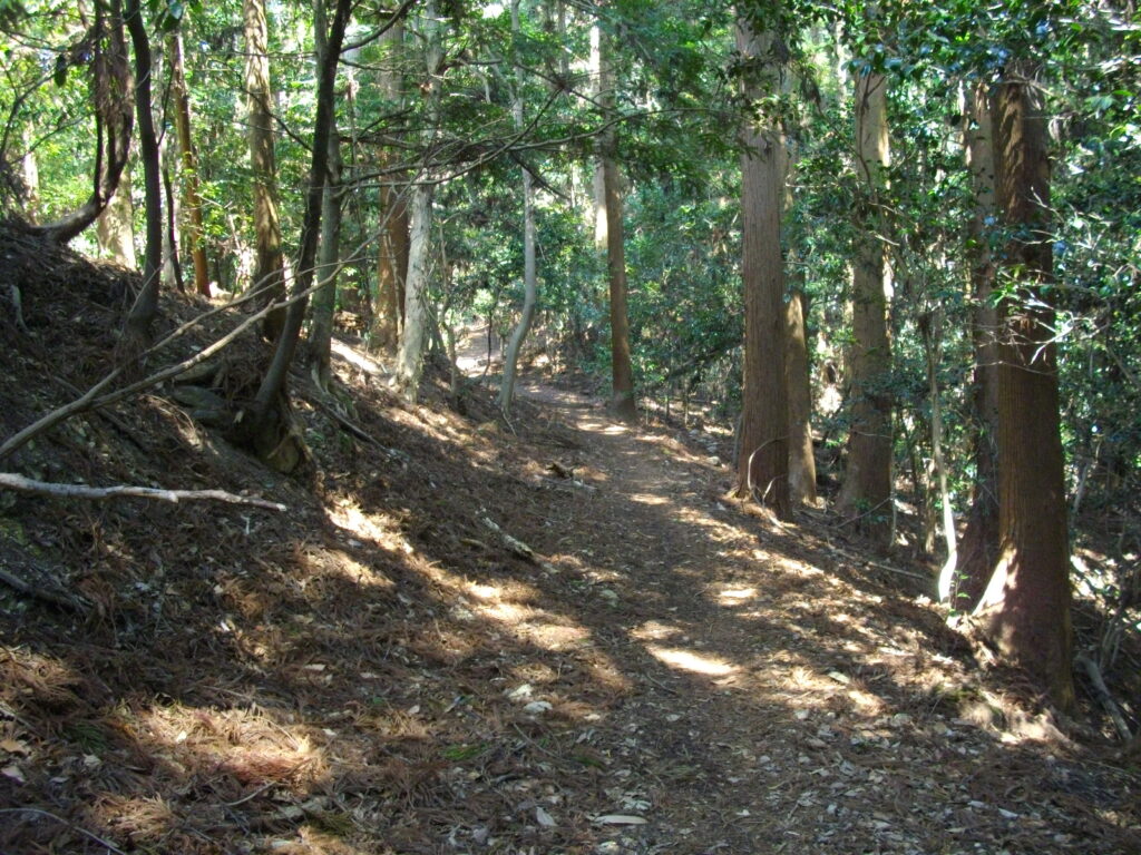 11：44　帝釈山への登山道の様子です。  見晴らしのない暗い杉林の中を行きます。