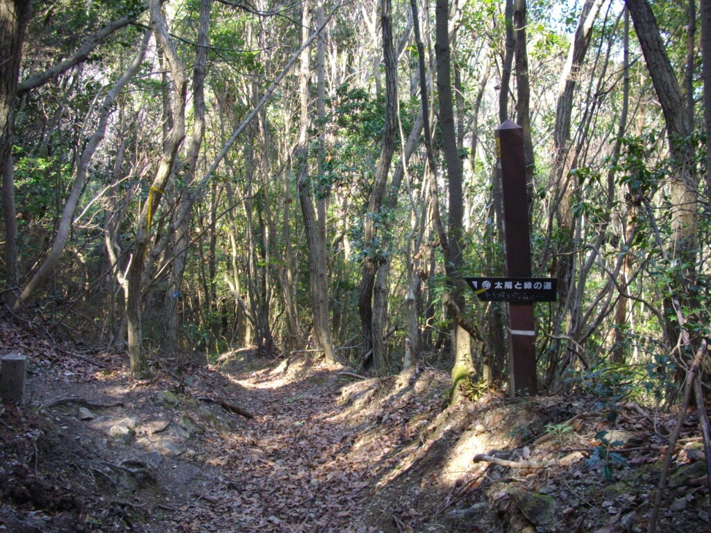 11：53　すぐの所に分岐があります。左へ行きます。まっすぐいくとどこへ行くんでしょうか。