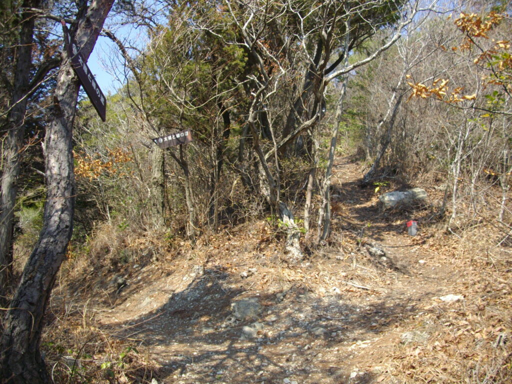 12：02　ピークへの分岐です。どちらへ行っても同じ所へ出ます。