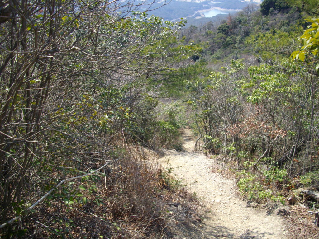 12：06　明るい尾根道です。