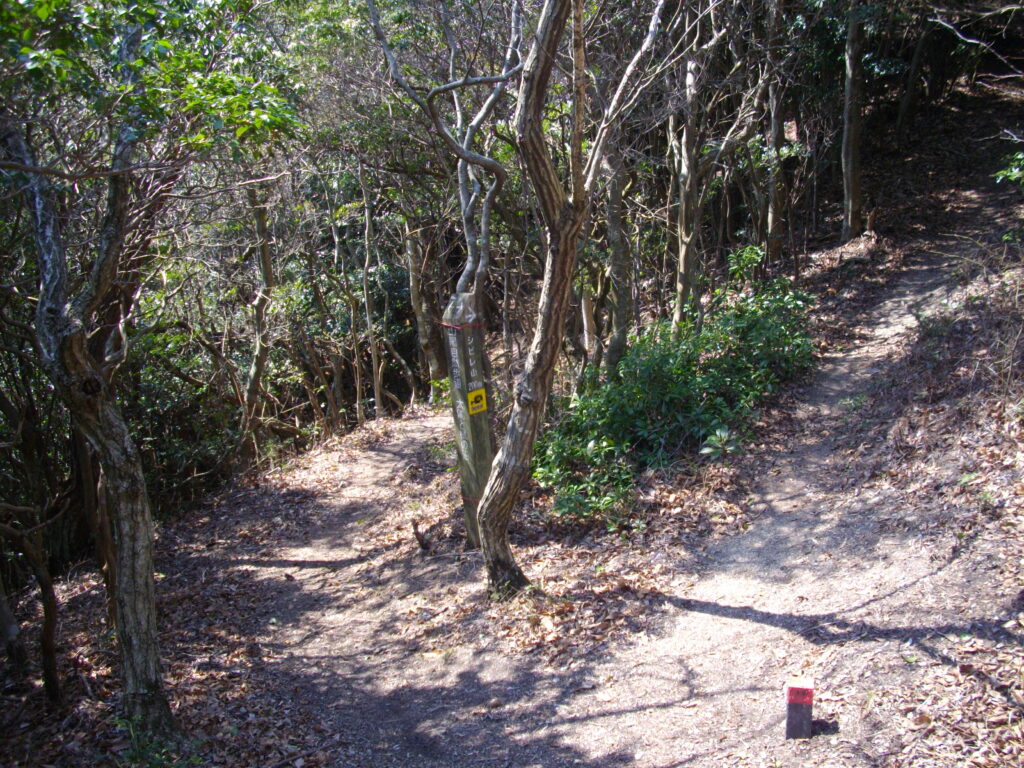 12：08　シビレ山への分岐の案内板です。