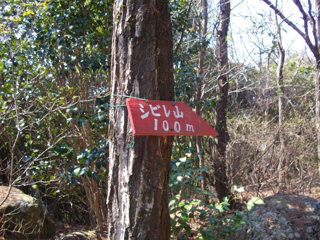12：10　山頂まであと100ｍです。