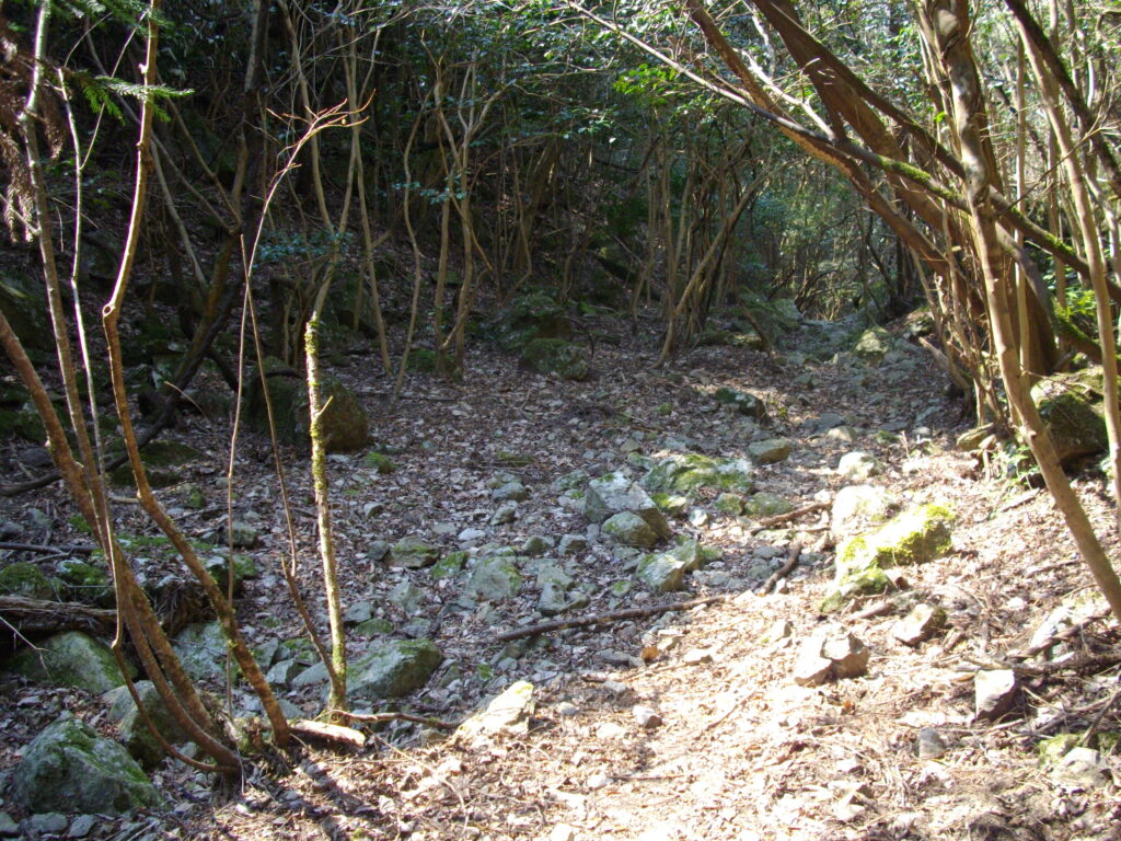 12：55　さらに下りていくと、涸れ沢に出て、下りていきます。