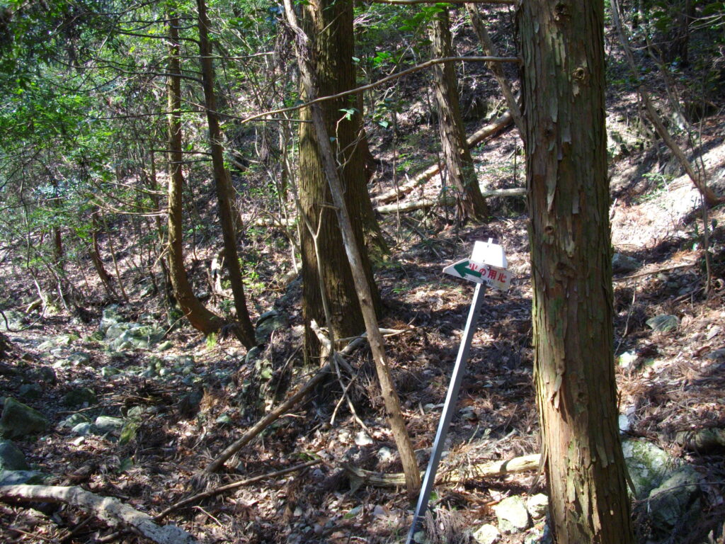12：58　ここから左手の尾根を越えます。