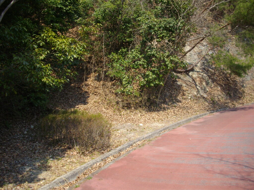 13：23　最後の激下りを下りると、衝原湖の遊歩道に出ます。ここを歩いて最初のサイクリングターミナルへいきます。ここから約1.5Kmくらいです。