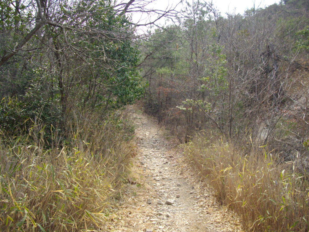 10：04　登山道の様子です。