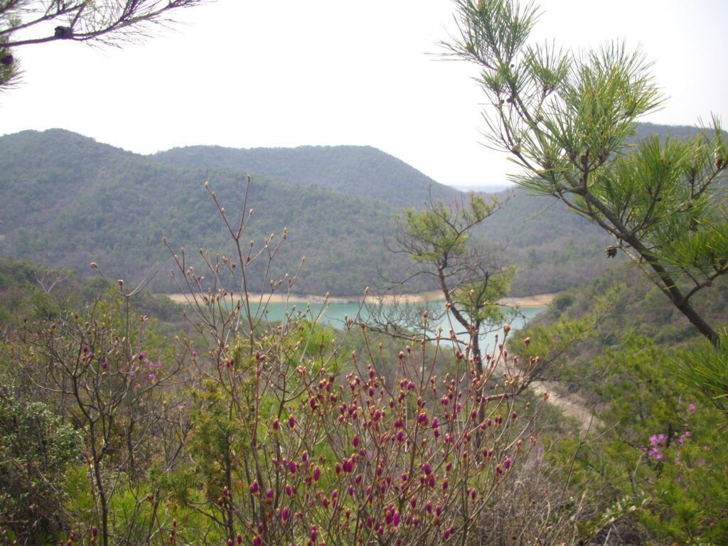 10：10　しばらく登ってからみた昭和池です。