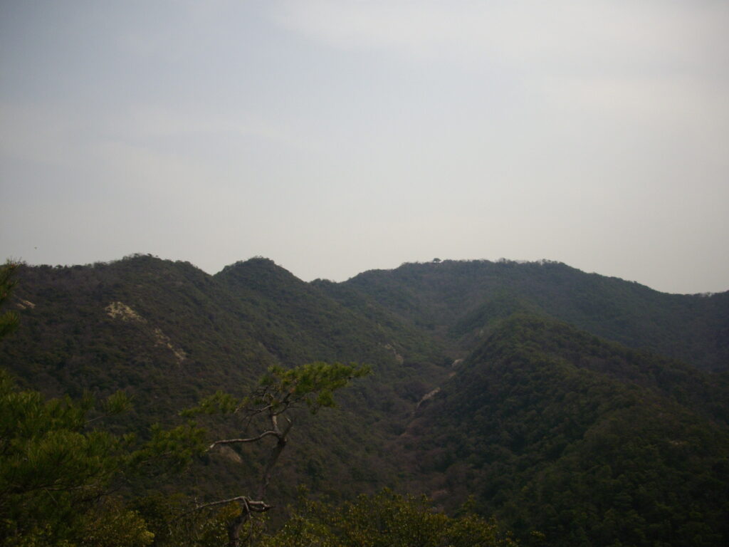 10：21　山頂が見えてきました。山頂には1本の大きな木があるので、わかりやすいです。