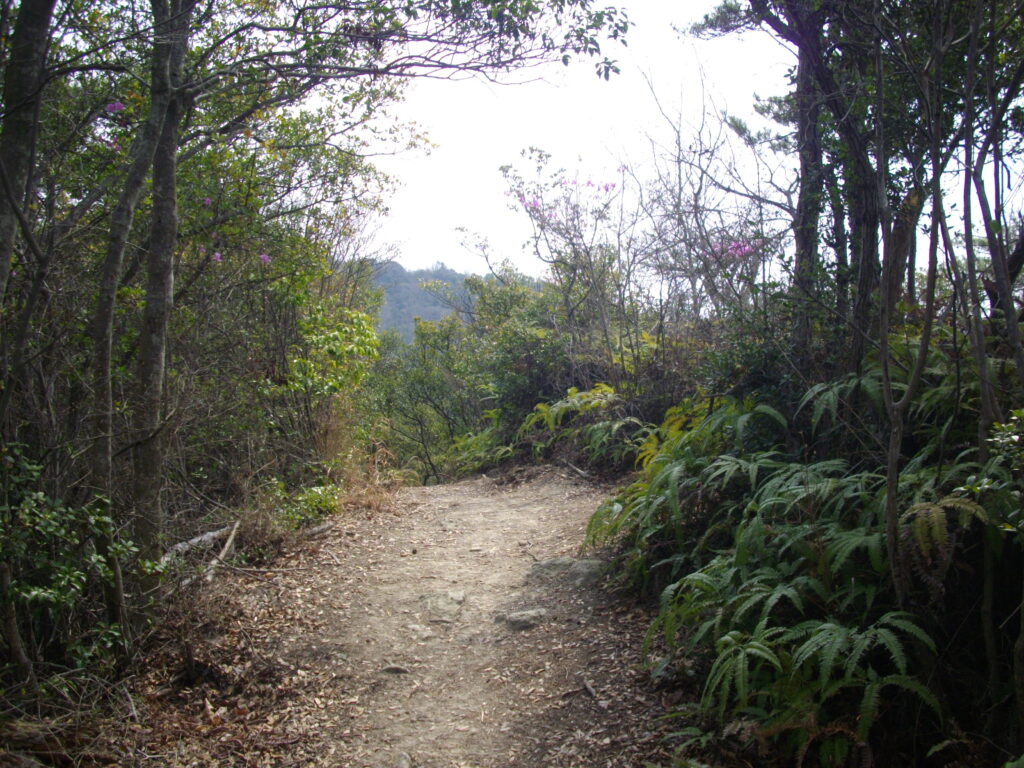 10：32　次のピークです。たいして何もありません。