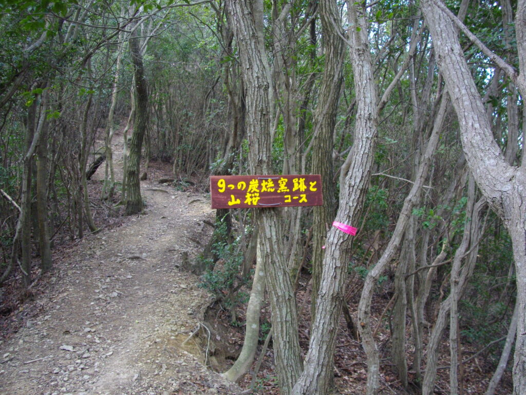 10：53　9つの炭焼窯跡と山桜コースの案内です。この山もいろいろなルートがあるようです。