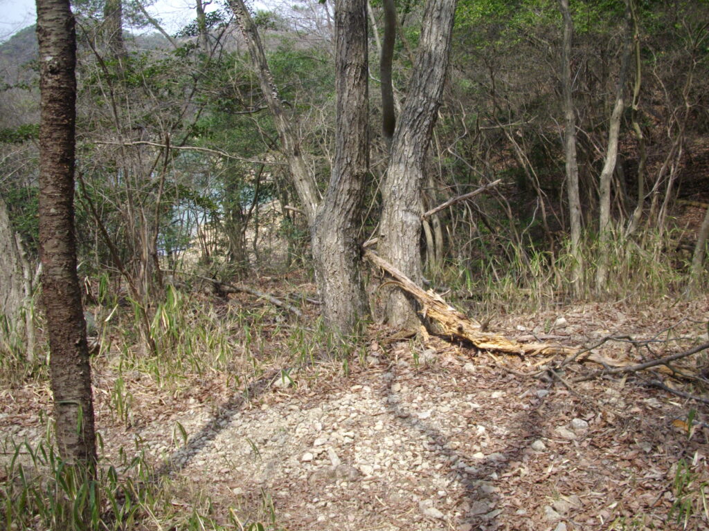 11：58　昭和池の分岐点です。ここを左へ行きます。右は通行止めのように見えます。