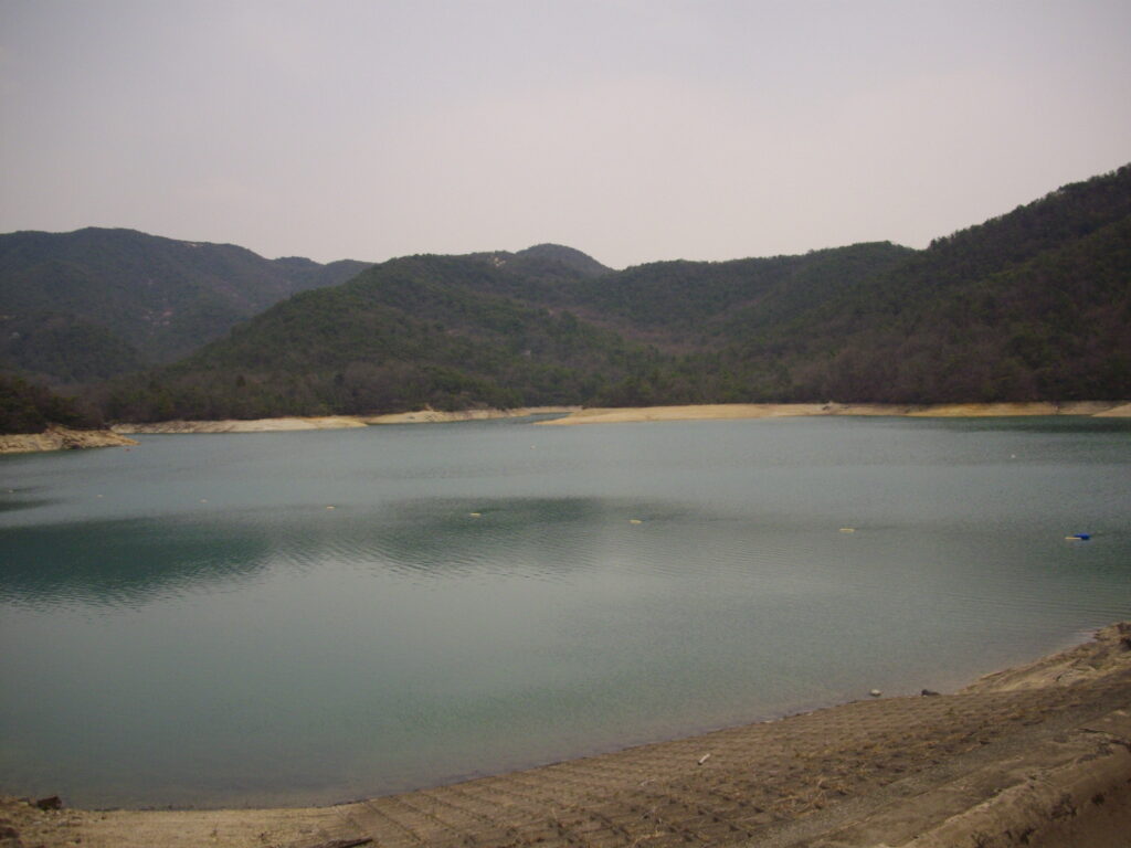 12：10　ここから見える昭和池です。