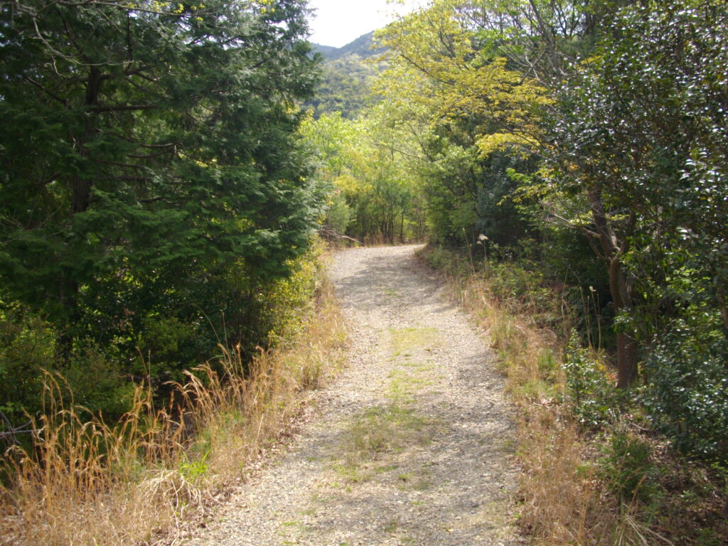 10:25 林道の様子です。