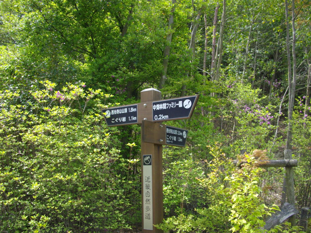 10:26 右ルートとの分岐です。登りは左ルート、下りは右ルートにしました。